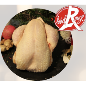 Poularde fermière Label Rouge à Stella-plage