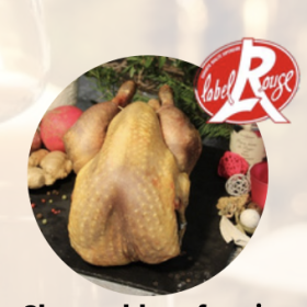 Chapon à Stella-plage