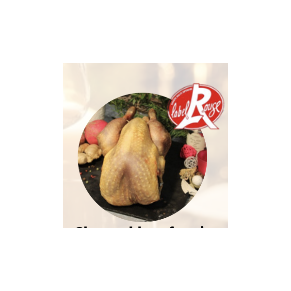 Chapon à Stella-plage